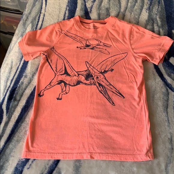 Carter's Other - Boys Carter’s pterodactyl shirt size 8
